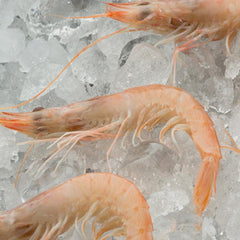 Wild White shrimp  (?  Pc /kg -Spain)|Gamba Blanca de Huelva Salvaje (? Uds /kg -España)