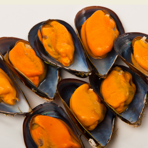 Cooked Galician Mussels Frozen|Mejillon Gallego Cocido Congelado