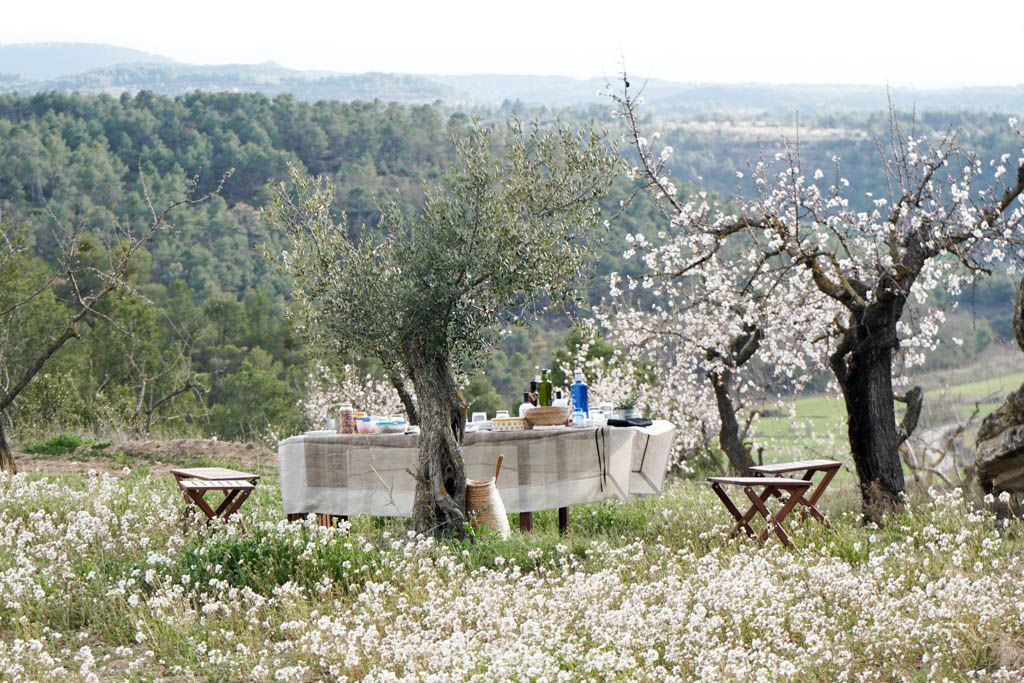 Arbequina Olive Oil. Treat yourself|Aceite de Oliva Arbequina. Una Delicia Gastronómica