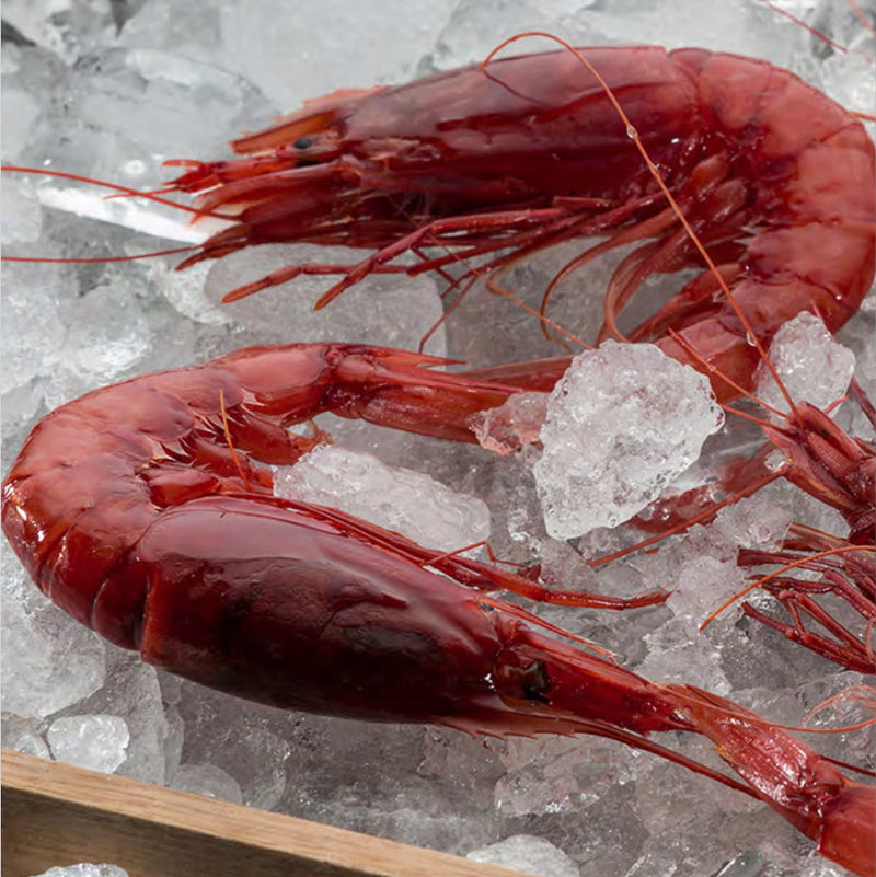 Fish & Seafood