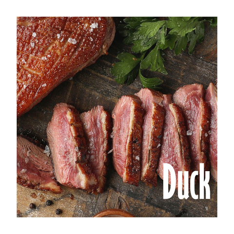 Duck and Poultry|Pato y Aves