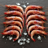wild-mediterranean-red-shrimp-25-35-pc-per-kg-spain-gamba-de-palamos-25-35-uds-per-kg-espana