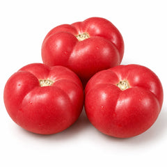 Fresh tomato with tomato flavour Ripe (Soft)