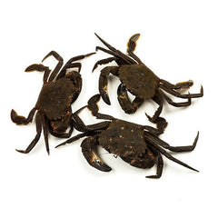 Velvet Swim Crab - Necora Galicia Fresh (Spain)