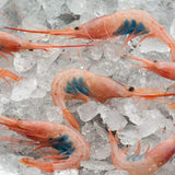 Wild Blue Belly Shrimp (100/150 Pc/ kg Spain)|Quisquilla (100/150 Uds per kg - España) la despensa