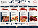Wild Carabinero 8-10 PC per Kg (Spain - Frozen) | Carabinero Salvaje 8-10 PC per Kg (España- Congelado)