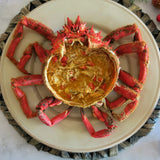Spider Crab - Centolla Galicia Fresh (Spain)