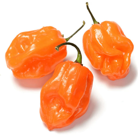 Fresh Yellow Havanero Chili 200g