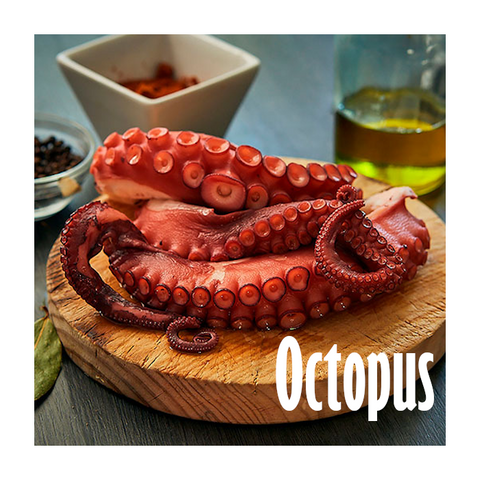 Octopus | Pulpo Congelado