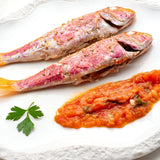 Wild Red Mullet - Salmonete  Salvaje (Spain)