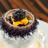 Sea Urchin Roes in Brine Serrats 50g Tin | Huevas de Erizo de Mar Serrats 50 g