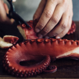 Frozen Cooked Octopus  Tentacles 6x250g Spain  | Tentáculos de Pulpo Cocidos Congelados 6x250g (España) - La despensa