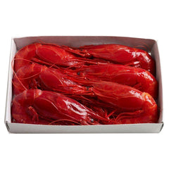 Wild Carabinero  5-8 Pc/kg (Red Shrimp-Spain)|Carabinero Salvaje 5-8 Uds/kg(España)